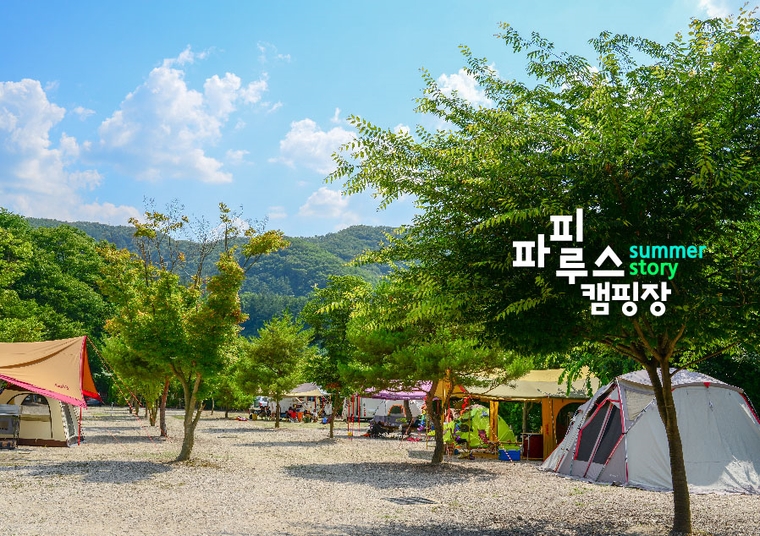 파피루스캠핑장 이미지