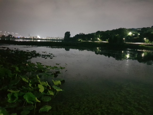 참사랑코다리 이미지