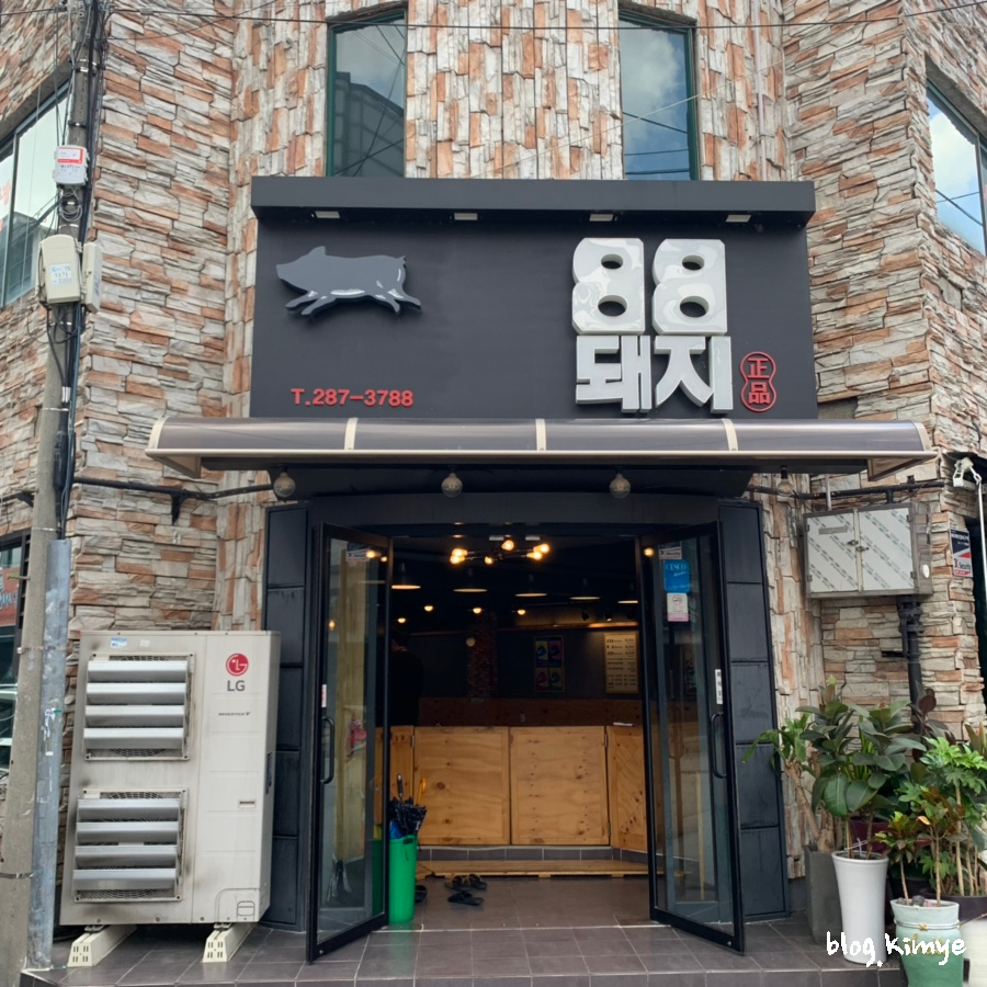 팔팔돼지(88돼지) 이미지