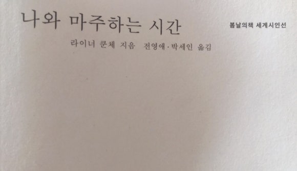 위트앤시니컬 이미지