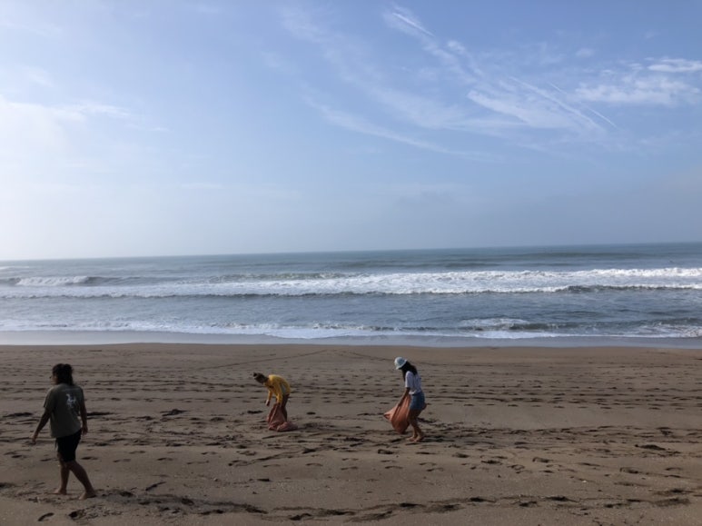 클린스쿨제주 이미지