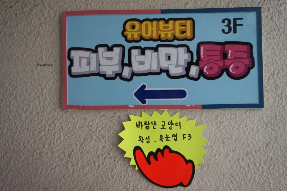 바람난고양이 이미지