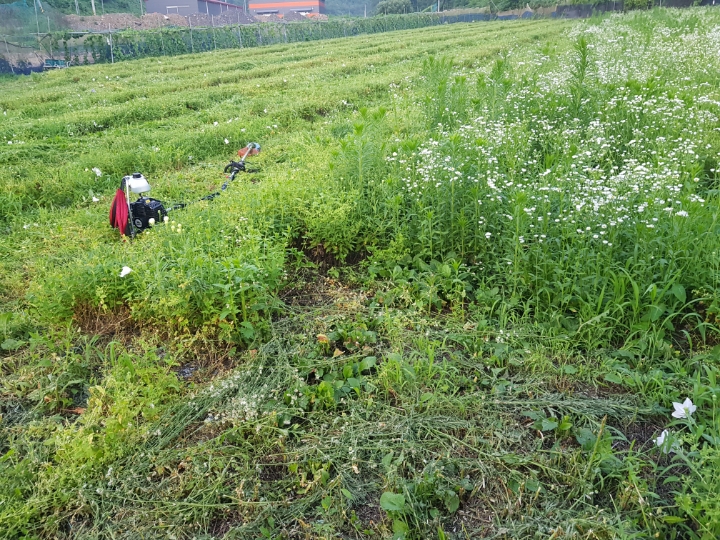 하수구119고압세척 이미지