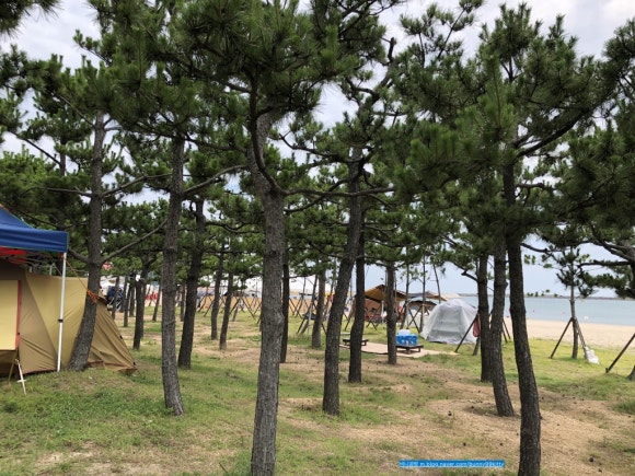 동해손뜨개 이미지