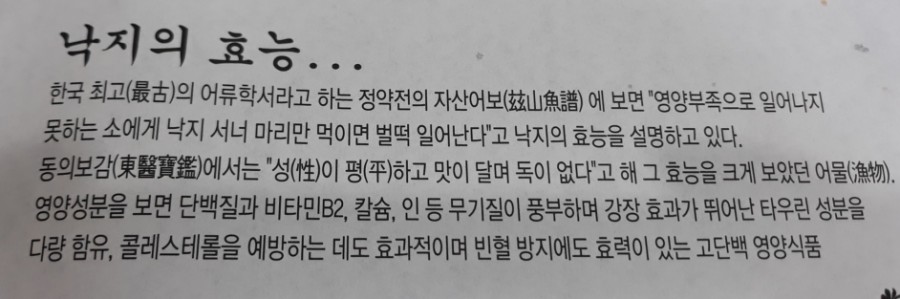 박속낙지탕 이미지