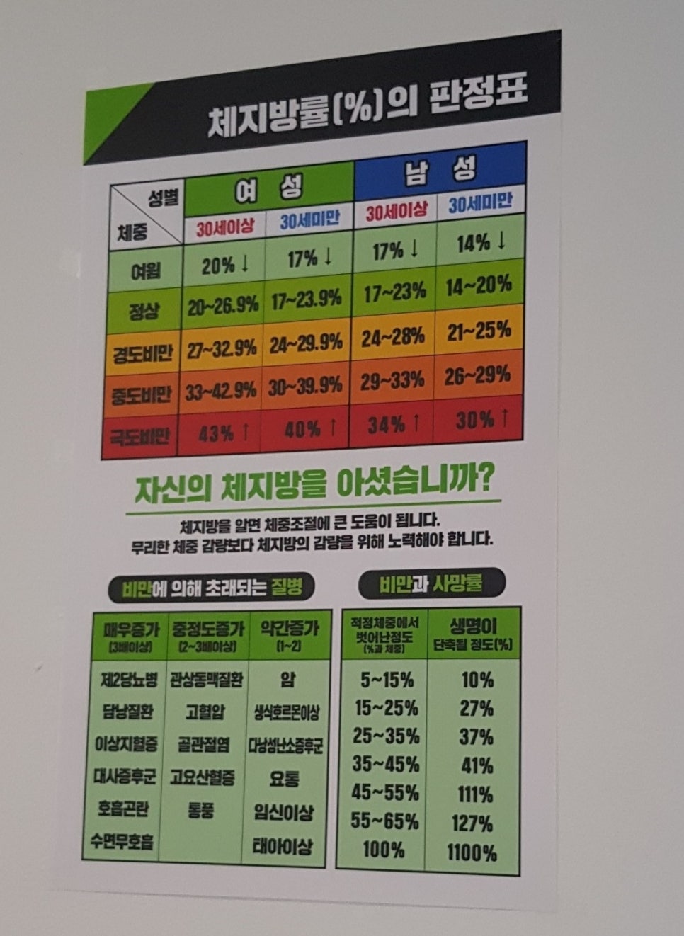 라온점핑다이어트 이미지