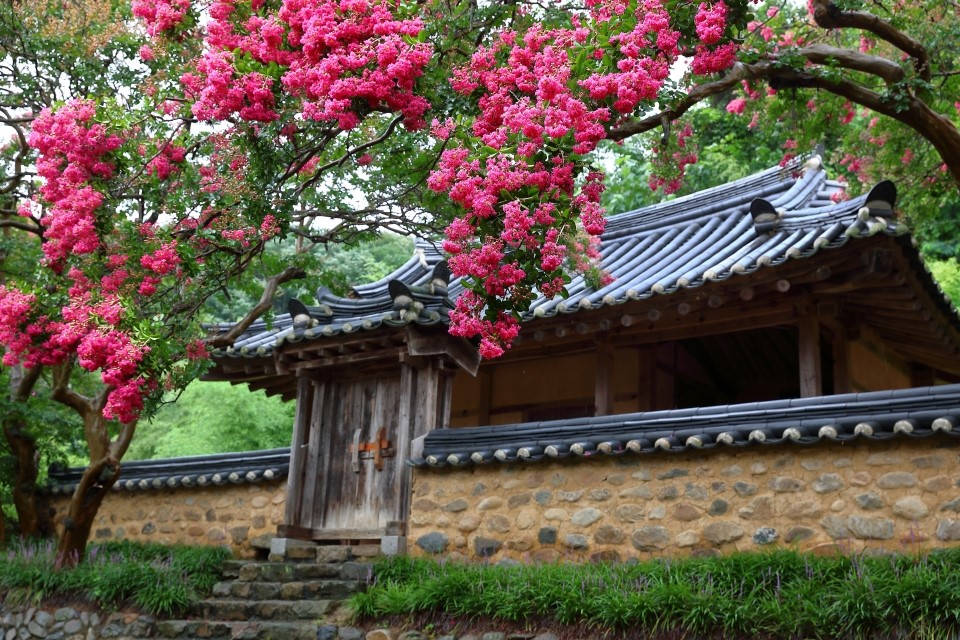 면장군 이미지