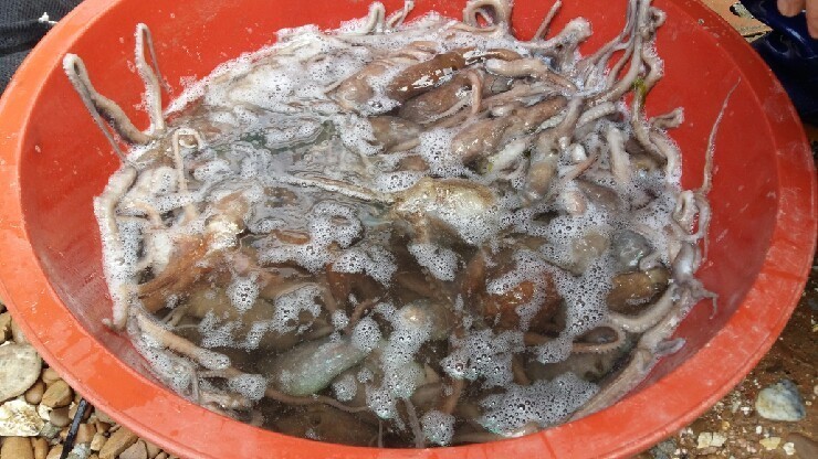 독도수산 이미지