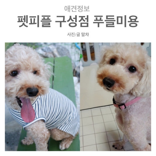 피플미용실 이미지