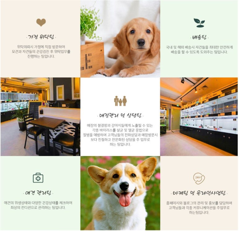 수엔유 이미지