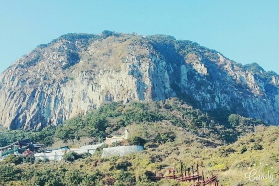 주식회사 제주도여행 이미지
