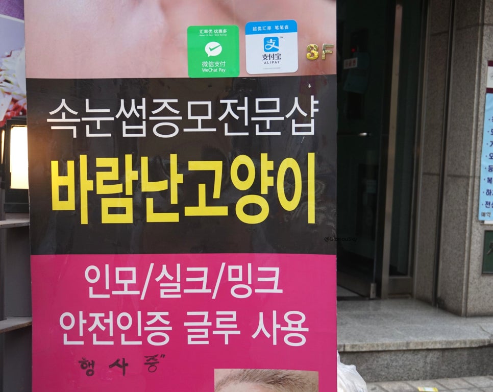 바람난고양이 이미지