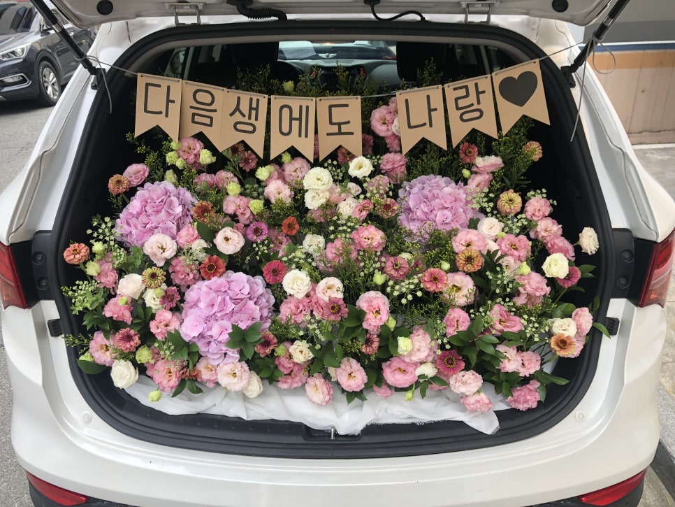 블랑메이 이미지