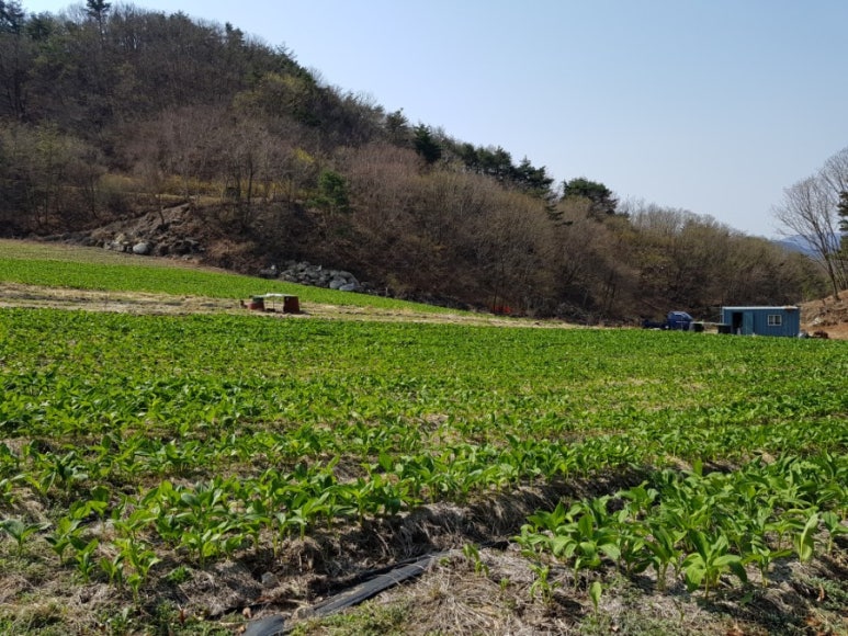 상문유통 이미지
