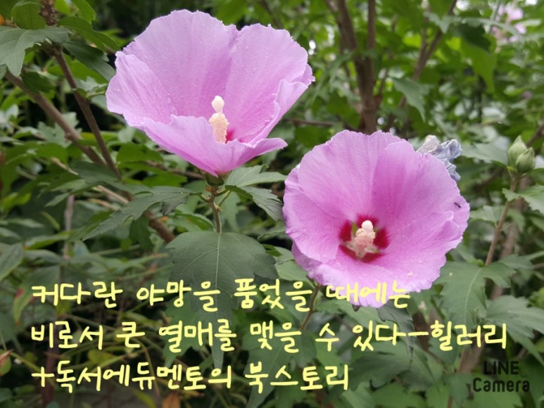 다울에듀 이미지