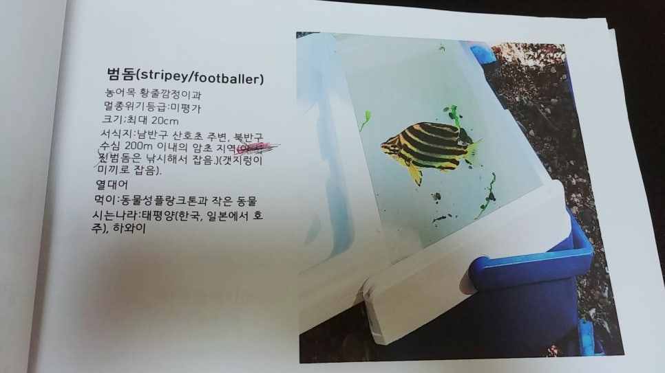 윤꼬 이미지