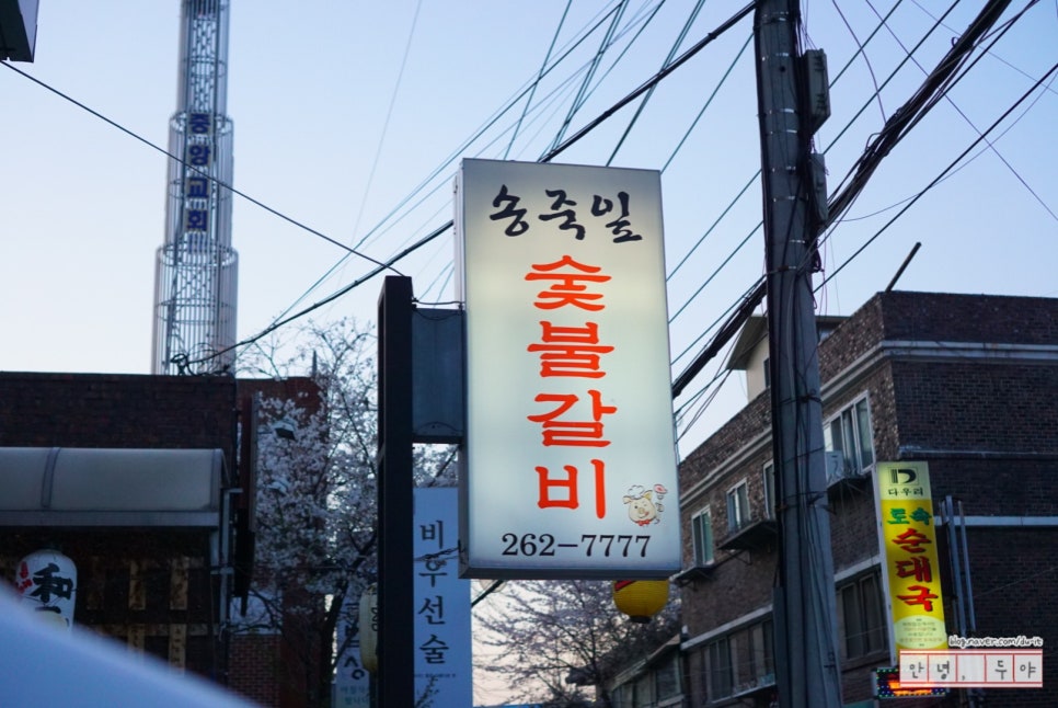 송죽잎 이미지