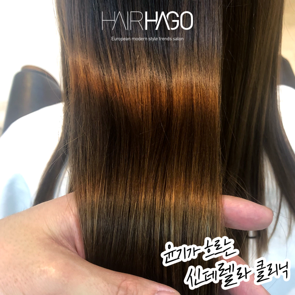 신데렐라헤어 이미지