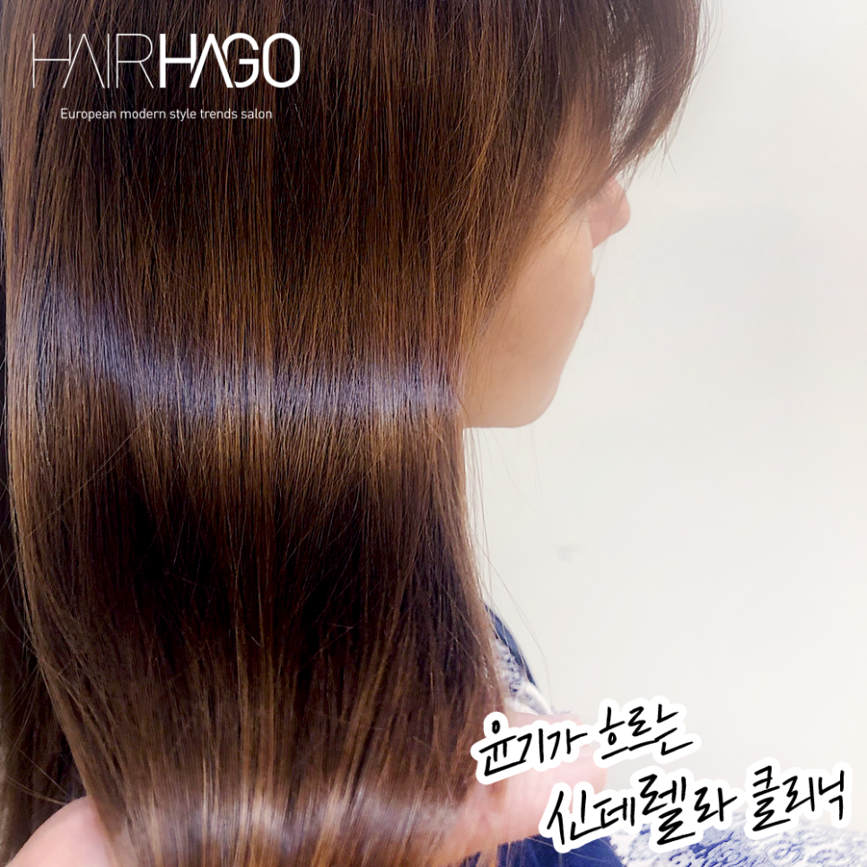 신데렐라헤어 이미지