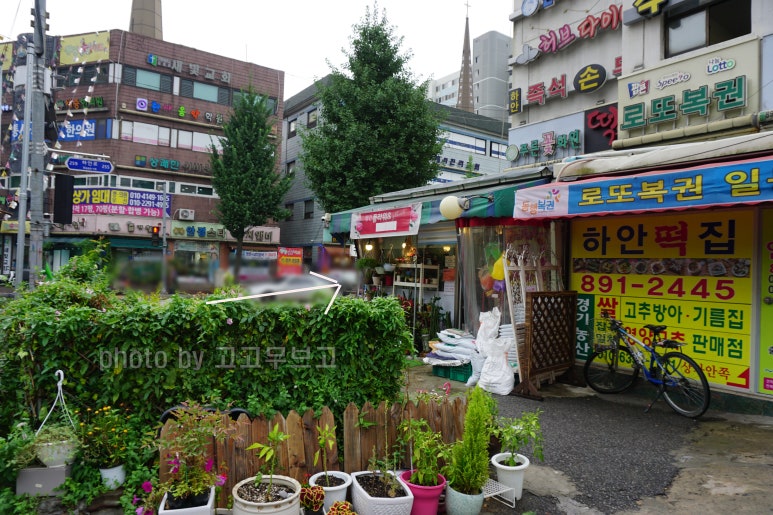 아이스크림 할인점 사진 7