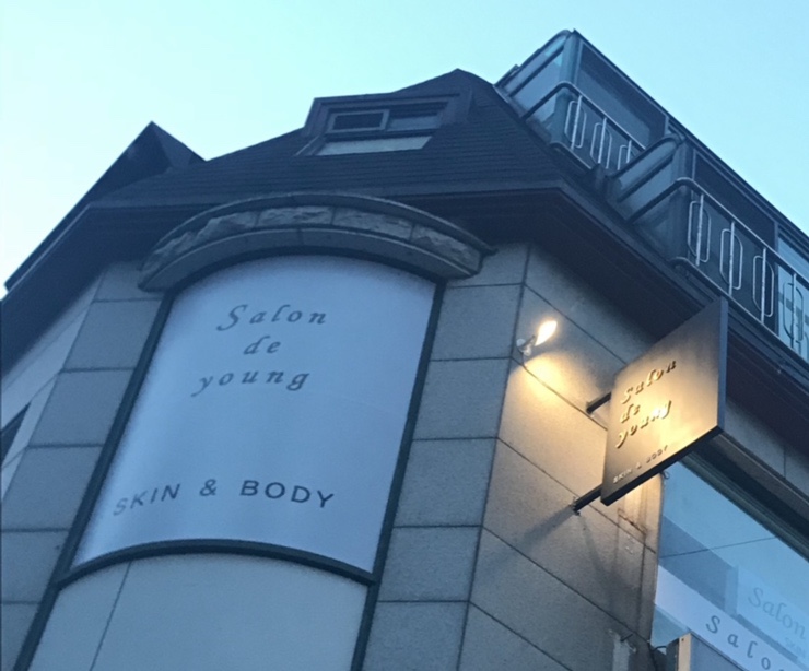 살롱드영 이미지
