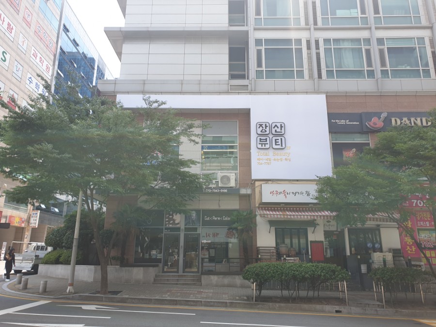 유선영 헤어 이미지