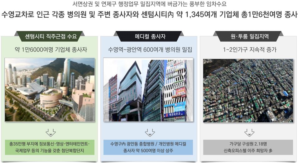 디온플러스 이미지