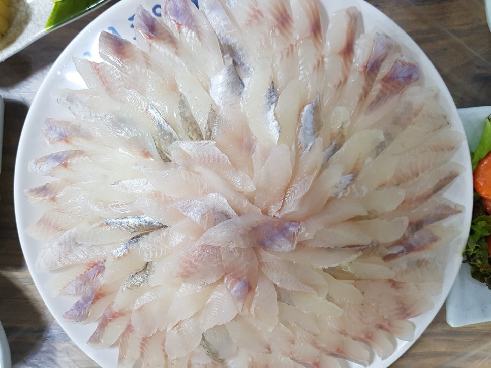 광선회센타 이미지