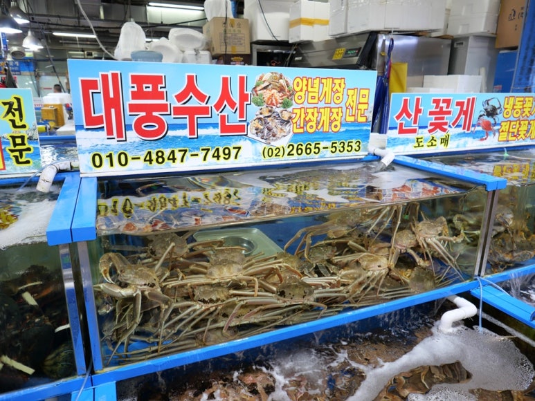 대풍수산 이미지