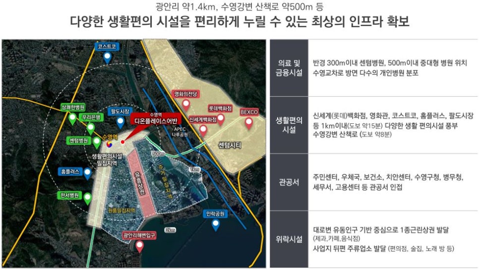 디온플러스 이미지