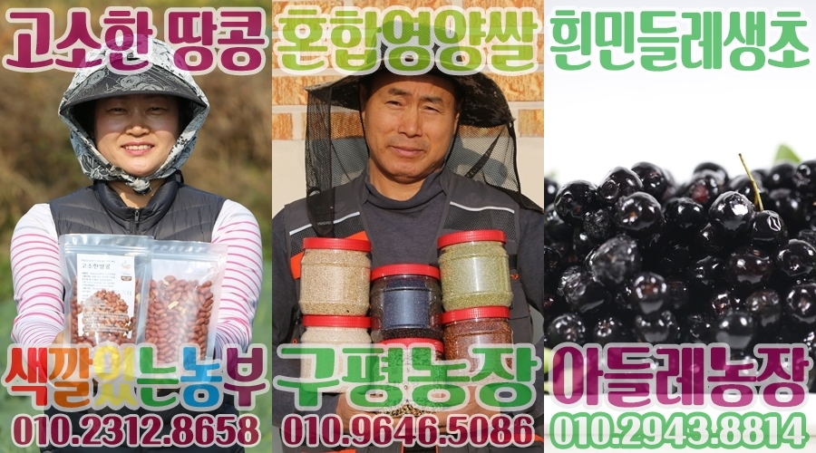 금성쭈꾸미 이미지
