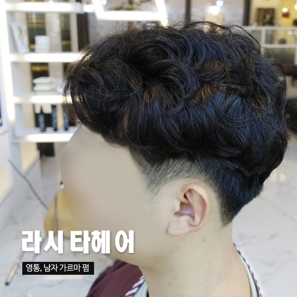 헤어라시타 이미지