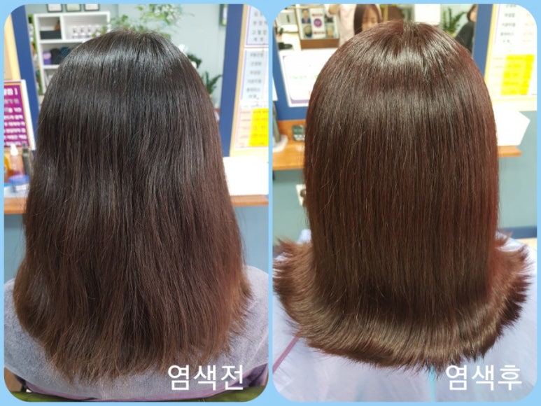 염색팡팡 이미지