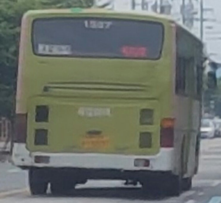 제일여객 이미지
