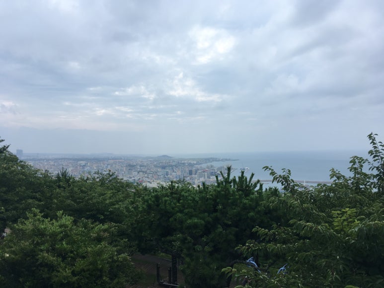 사라봉보양탕 사진 2