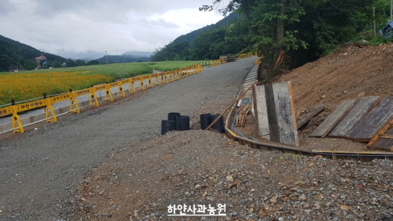 별빛내린 맥주 이미지