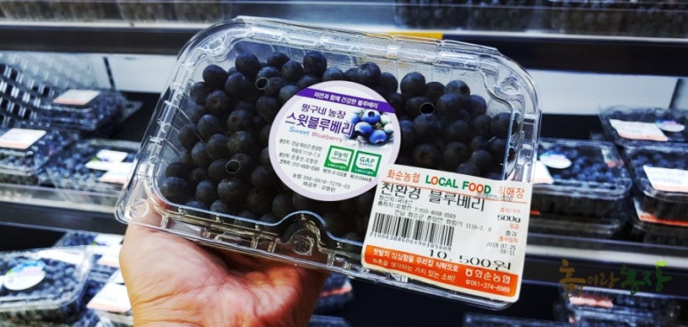 짱구네블루베리 이미지