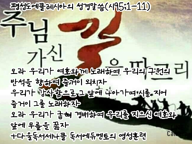 다울에듀 이미지