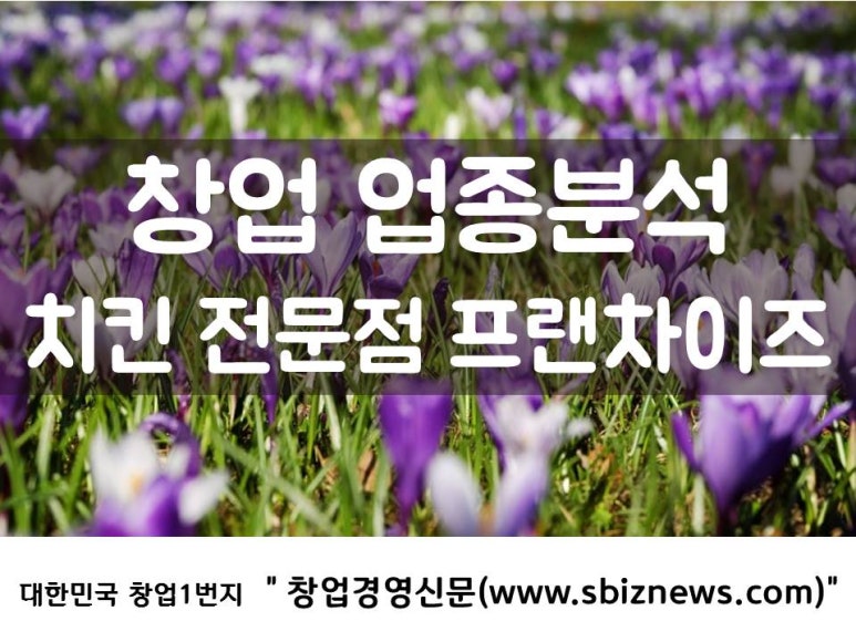 씨엘씨앤 이미지