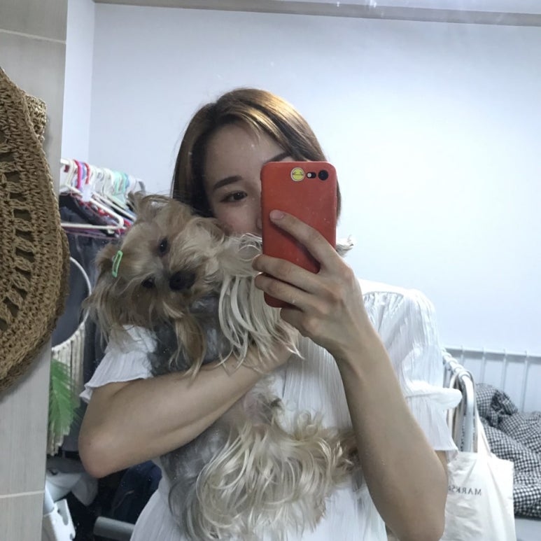 토다기 이미지
