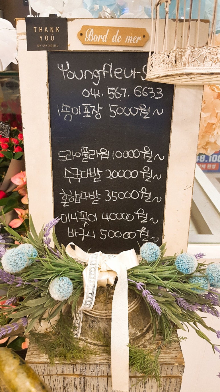 영플레르 이미지