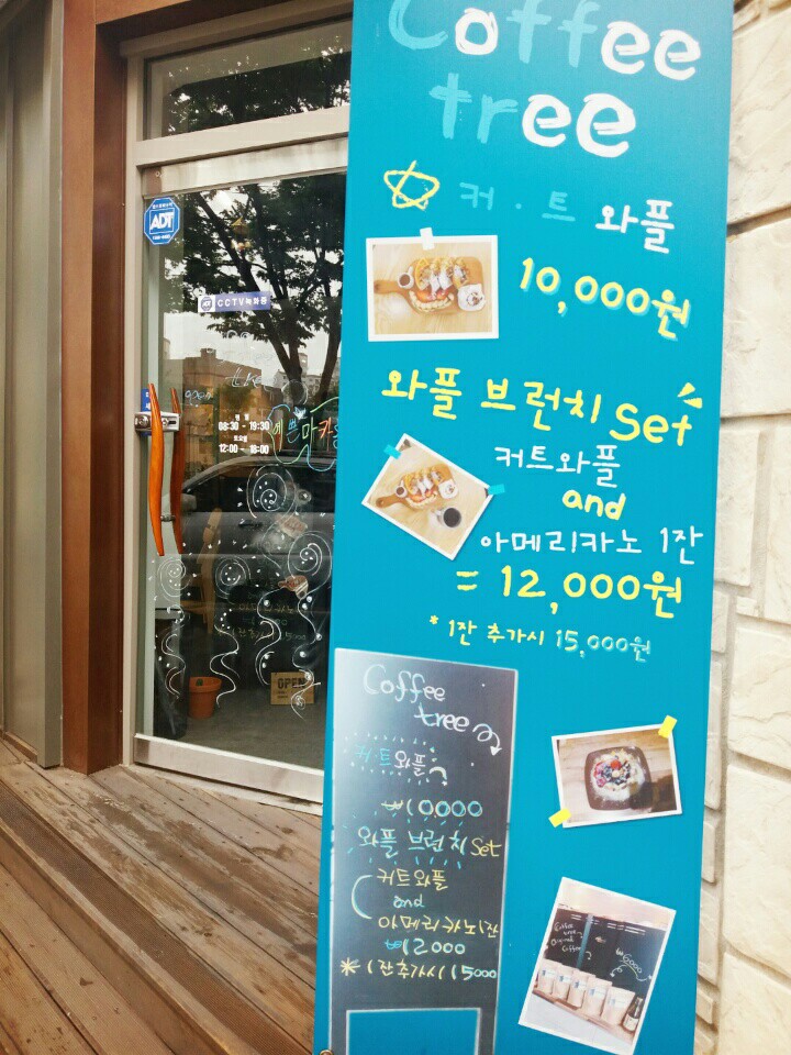 커피트리 이미지