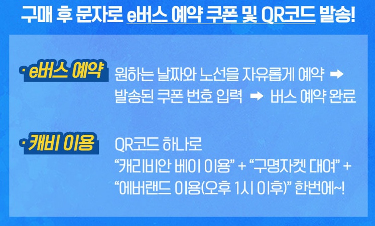 (주)위즈돔 이미지