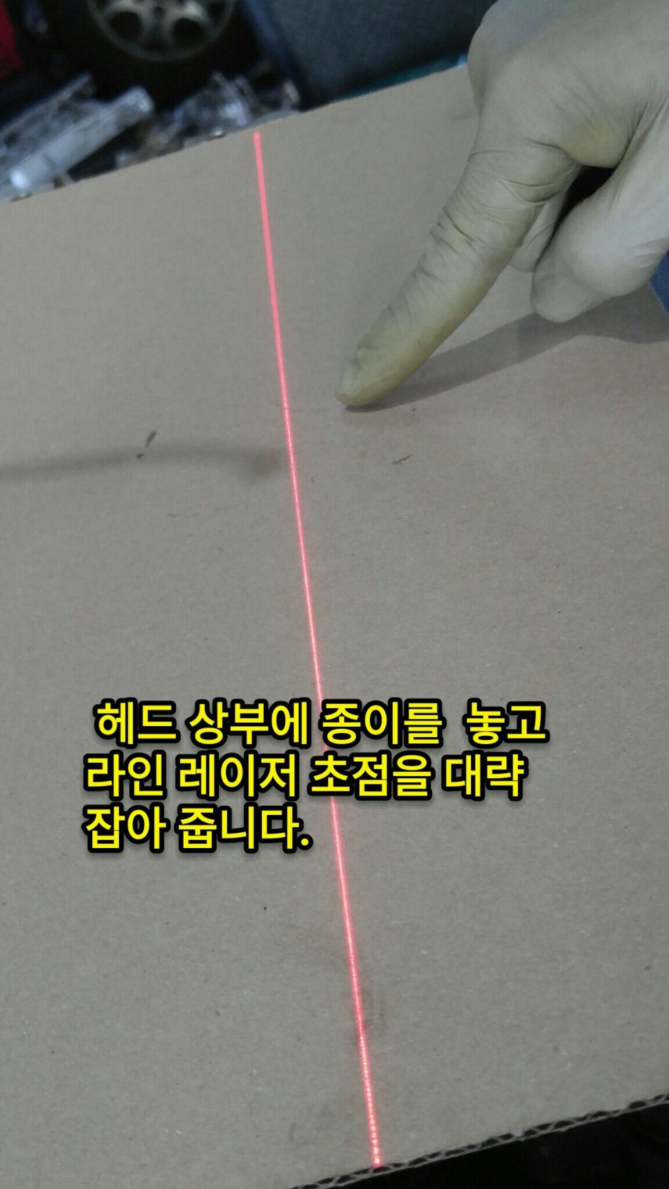 포니어 이미지