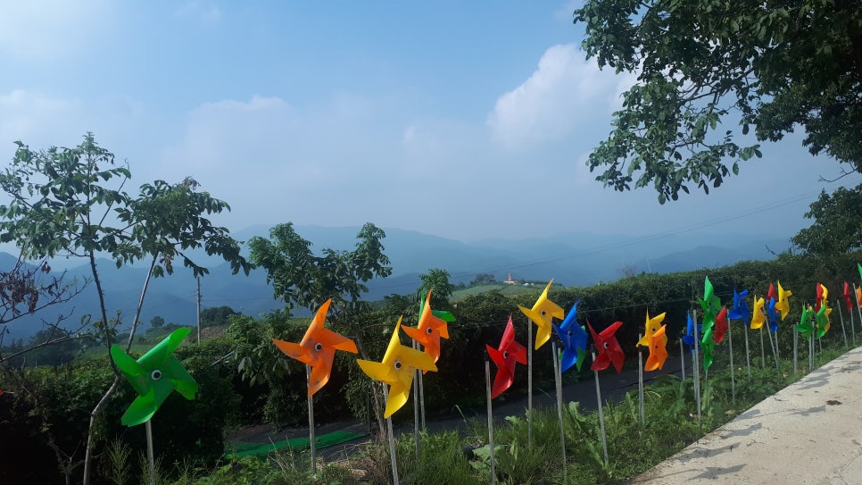 화산회관앞 이미지