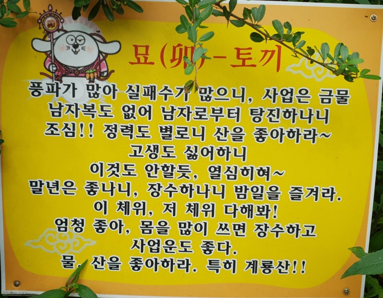 대왕삼계탕 이미지