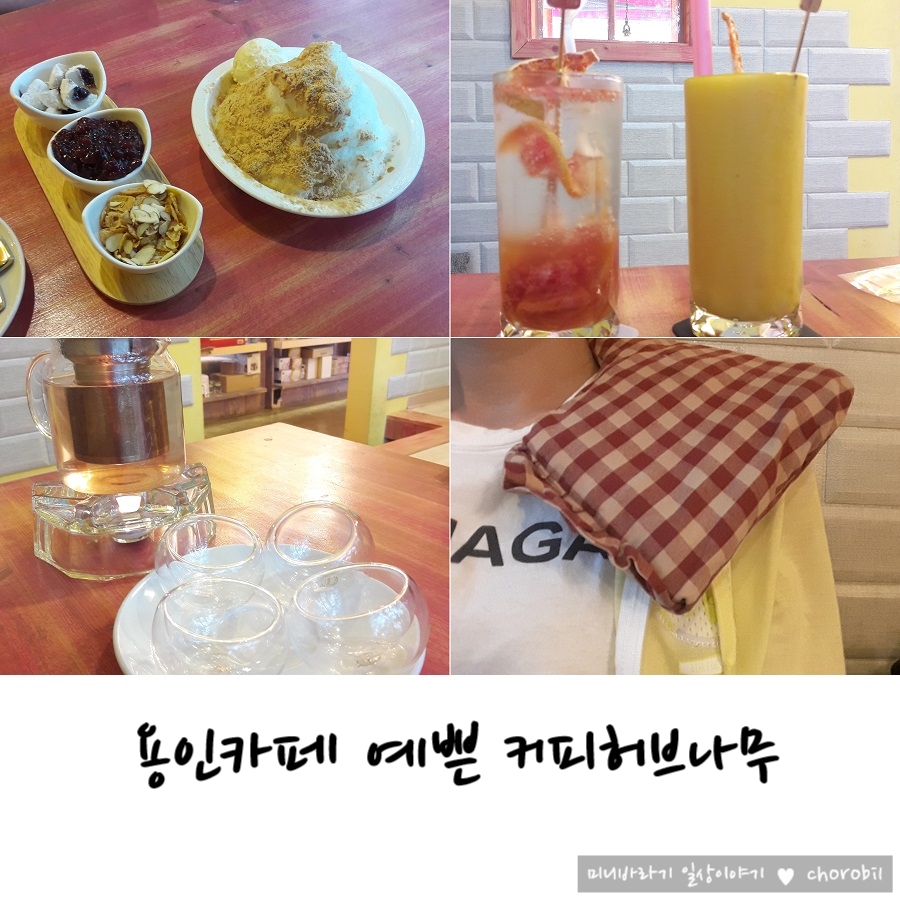 커피허브나무 이미지