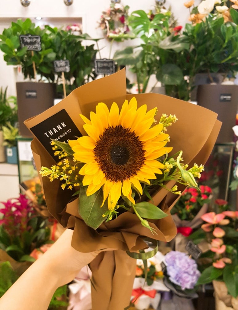 영플레르 이미지