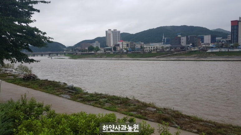 별빛내린 맥주 이미지