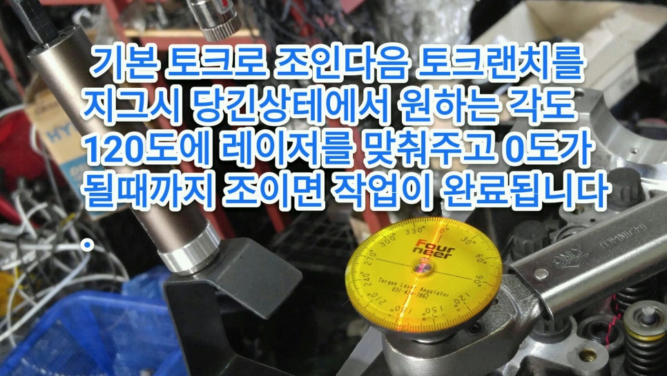 포니어 이미지